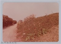 藏品(林保仁縣長主政照片：新竹縣芎林堤防防汛搶救演習-49)的圖片