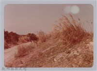 藏品(林保仁縣長主政照片：新竹縣芎林堤防防汛搶救演習-60)的圖片