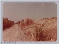 藏品(林保仁縣長主政照片：新竹縣芎林堤防防汛搶救演習-63)的圖片