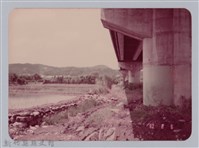 藏品(林保仁縣長主政照片：新竹縣七十一年度高莖作物砍成果-4)的圖片