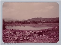 藏品(林保仁縣長主政照片：新竹縣七十一年度高莖作物砍成果-14)的圖片