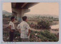 藏品(林保仁縣長主政照片：新竹縣七十一年度高莖作物砍成果-17)的圖片