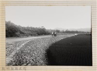 藏品(林保仁縣長主政照片：縣長林保仁視察-54)的圖片