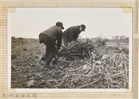 藏品(林保仁縣長主政照片：縣長林保仁視察-71)的圖片