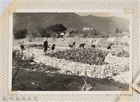 藏品(林保仁縣長主政照片：縣長林保仁視察-90)的圖片