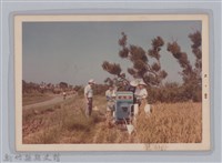 藏品(林保仁縣長主政照片-92)的圖片