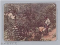 藏品(林保仁縣長主政照片-208)的圖片