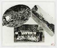 藏品(［照片］北埔國小９)的圖片