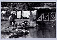 藏品(假日河邊洗衣-竹東)的圖片