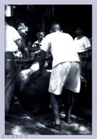 藏品(大神豬─竹東)的圖片