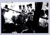 藏品( 綑豬仔─竹東)的圖片