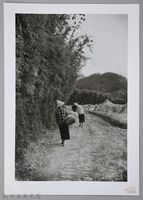 藏品(新竹鄉下─歸途（1950年）)的圖片