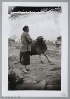 藏品(牛起番蠻（1940，新竹）)的圖片