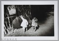 藏品(竹林下兩姊妹（新竹）)的圖片