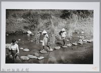 藏品(過河壩（1960，台北縣）)的圖片