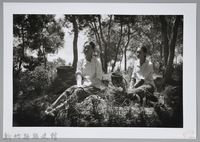 藏品(採茶女 （1950）)的圖片