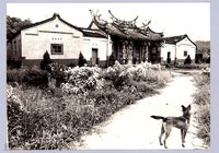 藏品(姜家祠（1985，北埔）)的圖片