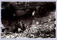 藏品(堤防人家（1966，芎林）)的圖片