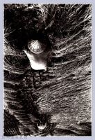 藏品(水打禾（1967，芎林）)的圖片