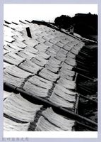 藏品(新竹米粉（1980，香山）)的圖片