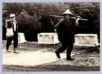 藏品(大山背（1986，橫山）)的圖片