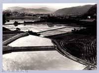 藏品(關西水田風光（2004，關西）)的圖片