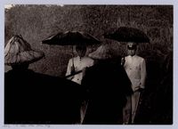 藏品(「寒夜」電視劇構圖（2004）)的圖片