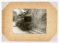 藏品(阿里山神木與DL-38火車照片一張)的圖片