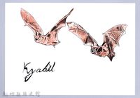 藏品(泰雅文物畫冊1-24葉鼻蝠)的圖片