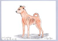 藏品(泰雅文物畫冊1-76黃犬)的圖片