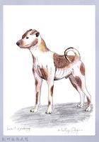 藏品(泰雅文物畫冊1-78花犬)的圖片