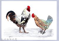 藏品(泰雅文物畫冊1-81雞)的圖片