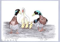 藏品(泰雅文物畫冊1-82鴨)的圖片