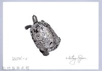 藏品(泰雅文物畫冊1-103金龜-1)的圖片