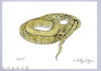 藏品(泰雅文物畫冊1-130王錦蛇)的圖片