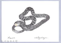 藏品(泰雅文物畫冊1-131標蛇)的圖片