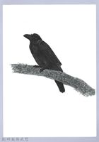 藏品(泰雅文物畫冊1-192家烏鴉)的圖片