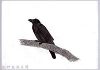 藏品(黑帶巴彥圖稿-3家烏鴉)的圖片