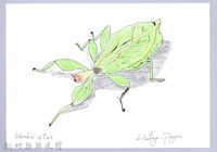 藏品(泰雅文物畫冊2-3綠大齒螳)的圖片