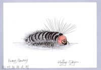 藏品(泰雅文物畫冊2-24粉蝶燈蛾幼蟲)的圖片