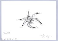 藏品(泰雅文物畫冊3-15沙地豹蛛)的圖片