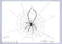 藏品(泰雅文物畫冊3-18方格銀腹蛛)的圖片