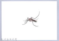 藏品(泰雅文物畫冊3-24家蚊)的圖片