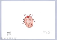 藏品(泰雅文物畫冊3-30壁蝨)的圖片