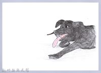 藏品(泰雅文物畫冊3-32水蛭吸附犬隻)的圖片