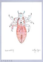 藏品(泰雅文物畫冊3-35頭蝨-1)的圖片