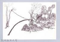 藏品(狩獵用具漁用-30大型動物套腳陷阱5：拉繩索)的圖片