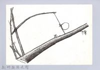 藏品(狩獵用具漁用-37飛鼠陷阱)的圖片