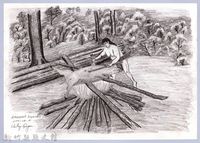 藏品(黑帶巴彥畫冊-45燒山豬毛-1)的圖片