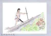 藏品(泰雅族的建築史：房屋篇-8立柱搭建1：尋找柱料)的圖片